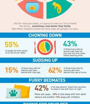 Survey Unmasks the Peculiar Behaviors of Pet Owners