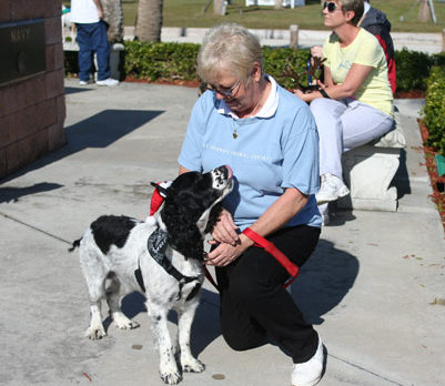 Few hundred pooches and friends march Indian River Drive for HALO