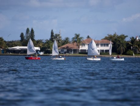 Youth Sailing Foundation Regatta
