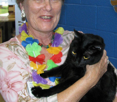 Find your purr-fect match at the Humane Society