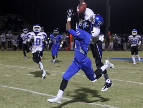 Sharks beat by Panthers 29-0
