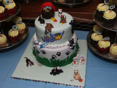 HALO rescue celebrates 7 years Helping Animals Live and Overcome
