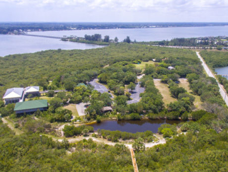 Change in focus: A reimagination of the Environmental Learning Center