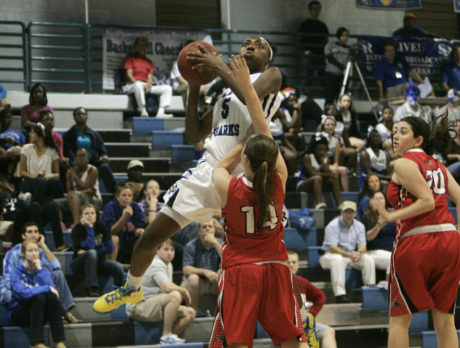 Sharks move on past Port Charlotte