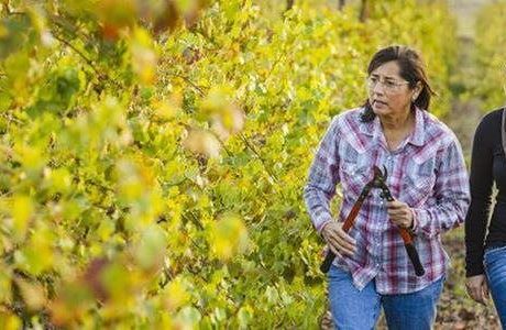 Roots run deep for American growers