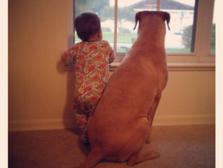 BONZO: Porter gets a new thieving buddy to bring him treats