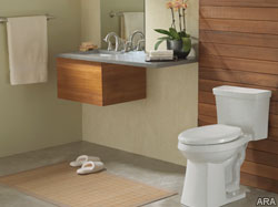 Greening your home: What does it really take?