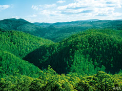 Celebrate the environment with the newest eco-chic products