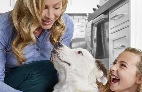 3 cornerstones to a longer, healthier, happier life for your pet