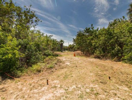 Shores parcel to be auctioned Saturday