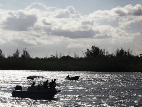 Reefs to become habitat for fish, mecca for divers