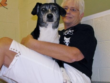 Art for Animals draws animal lovers to Humane Society