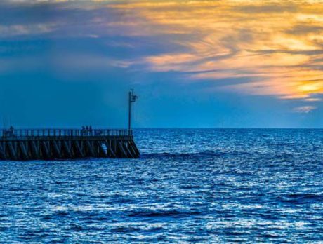 Sebastian Inlet jetty reopens for fishing despite objections