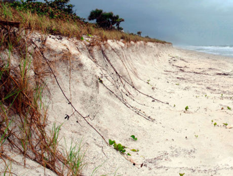 Heavy winds, high surf fuel more beach erosion in Indian River County