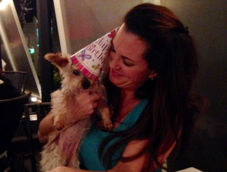 BONZ: Bonzo meets Bella after her birthday bash