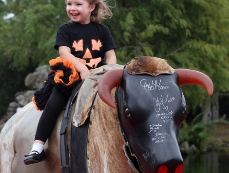 LaPorte Farms Fall Festival