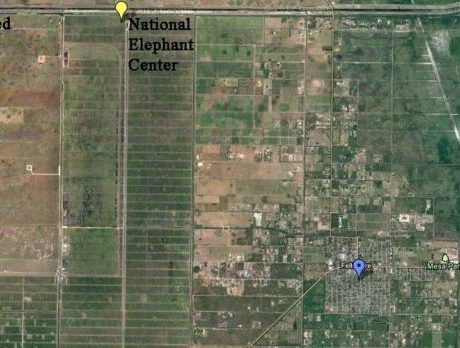 Fellsmere seeks grants for facilities that would enhance ecotourism