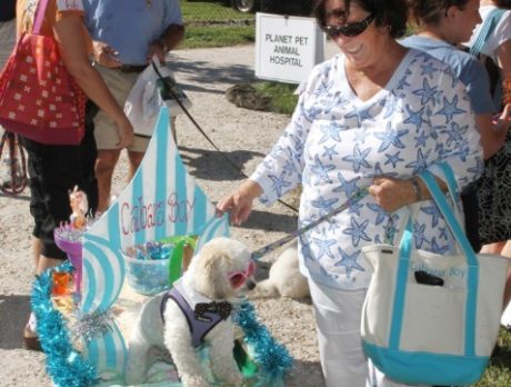 Howl-O-Ween Dog Costume Pawrade & Pet Expo