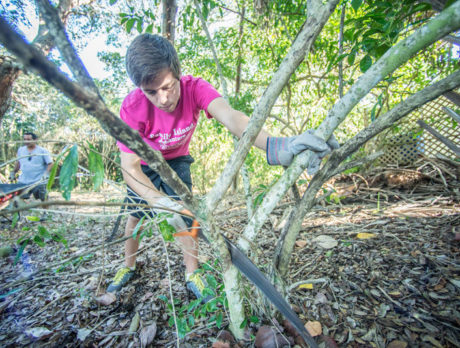 Youth in Action’s 20-year history of helping others