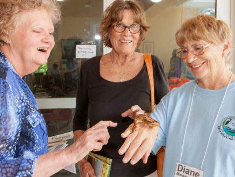 Pelican Island Audubon after 50 years has new home