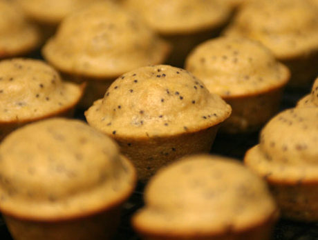 EATS: Lemony goodness brings back taste of Summer