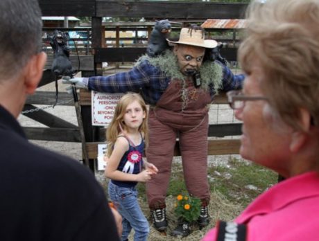 2nd Annual Scarecrow Contest