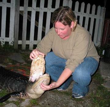 CAMERA BLOG: On gators, the circus, Rachel Ray, and Charlie Crist