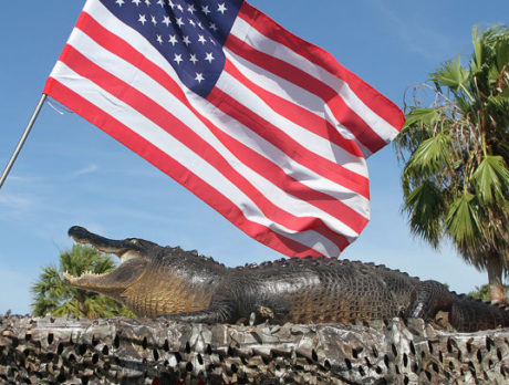 CAMERA: Off-beat Fourth of July images