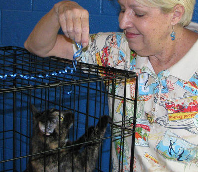 Find your purr-fect match at the Humane Society