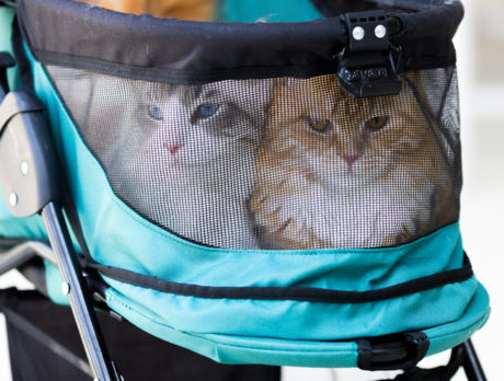 Bonz feels hip hangin’ with cool cats Opie and Cake