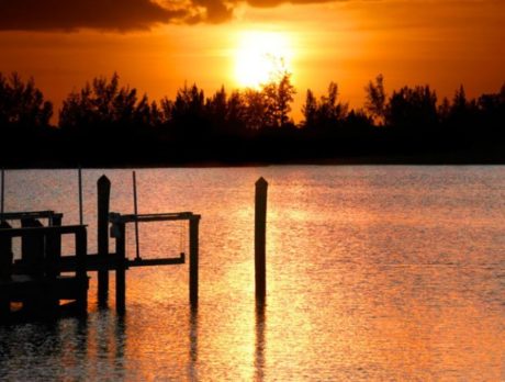 New Lagoon Council Director reveals plans for headquarters