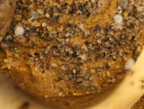 EATS: A chef’s worst nightmare – fuzzy muffins