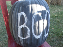 Easy, affordable Halloween projects that kids – and adults – will love