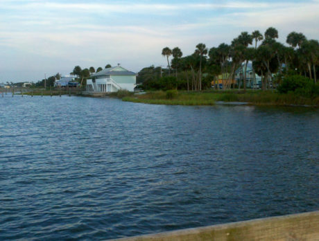 Canals not polluting lagoon as much as thought