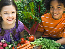 The psychology behind your nutrition