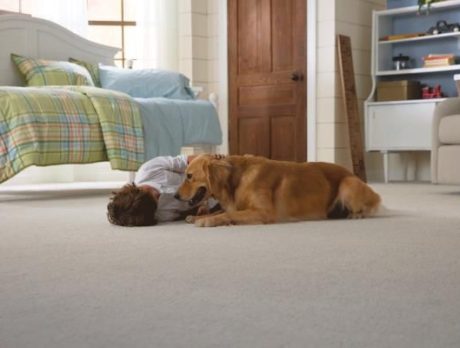 Durable Décor Upgrades that Add Comfort and Style to Your Home