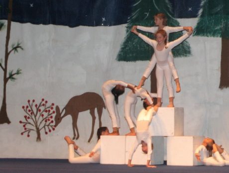 Aerial Antics Circus