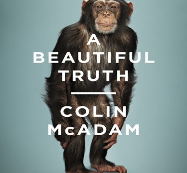 Poignant books help finance chimp sanctuary