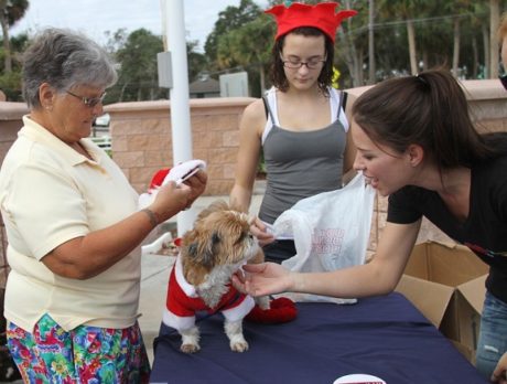 Walk in a Pack for Animals