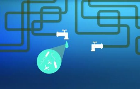 Giving the Gift of Safe Water this Holiday Season