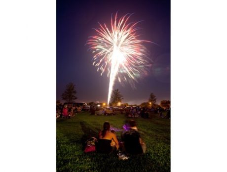 ALL PETS: Keep your pet safe this Fourth of July