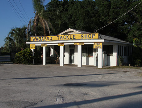 Iconic bait shop in Wabasso threatened by road work
