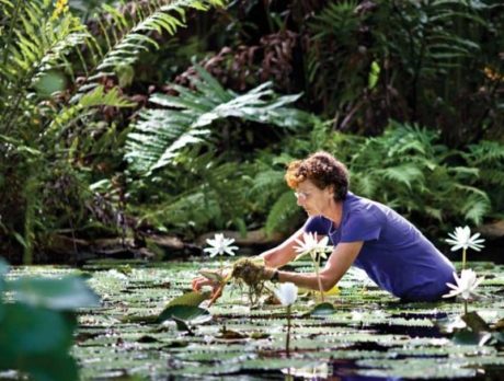 McKee Gardens get polishing for 10th anniversary celebration