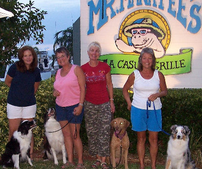 PETS PARADE: Dining out with friends and pets