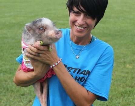 Starting Life Over embraces a fresh start at picnic