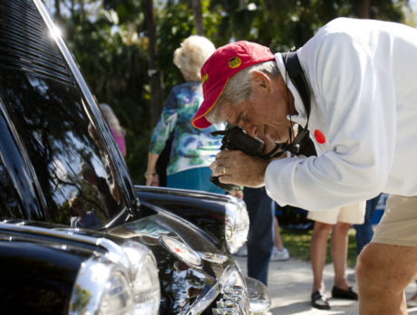 Corvette show at McKee Botanical Gardens