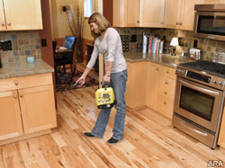 How to take pest control and prevention into your own hands