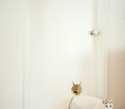 BONZ: Bonzo yaps with Lovey the ‘camouflage’ cat