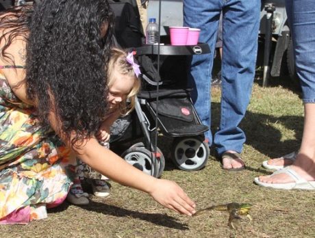 Frog Leg Festival