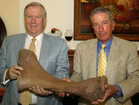 Vero Ice Age artifacts to be on display at County complex